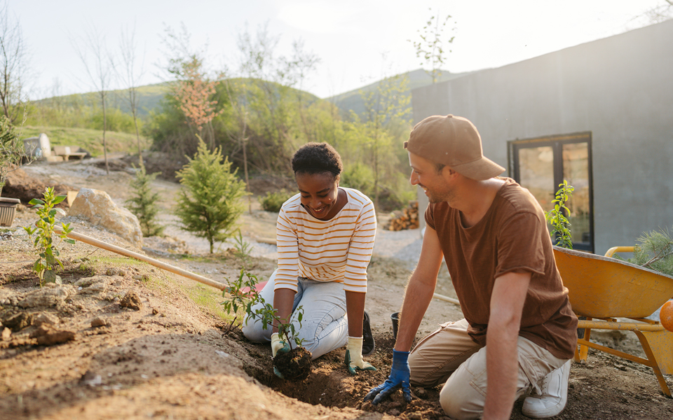 Couple planting tree sprouts