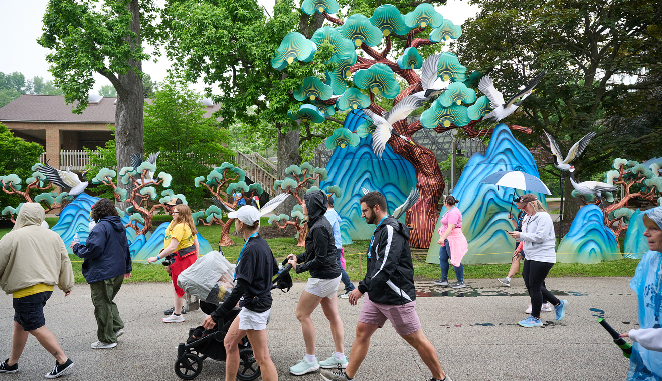 People walking outdoors near colorful art displays and trees