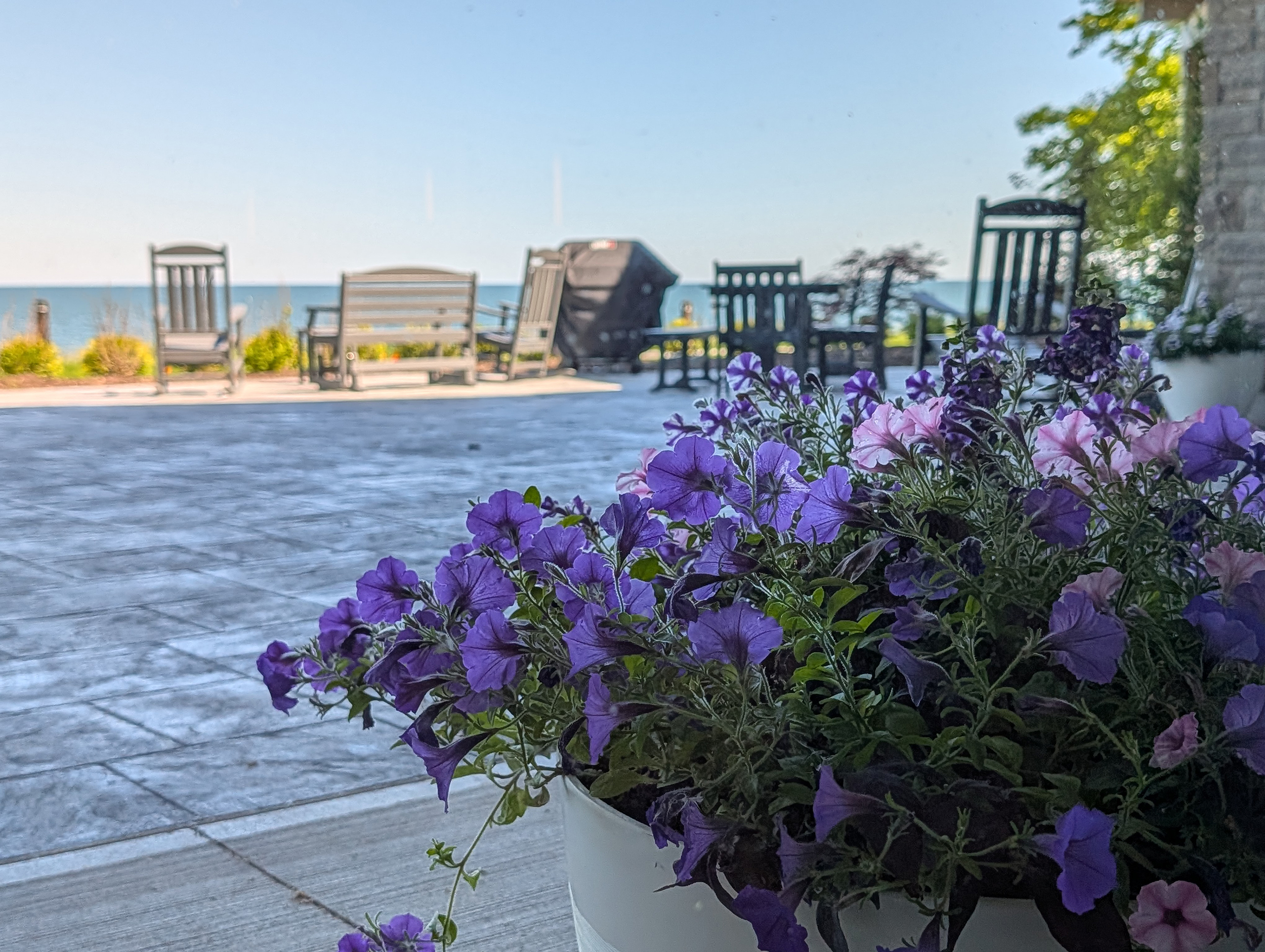 A pot of purple flowers in the foreground. A view of Lake Erie from a grey stone patio that has several seating areas